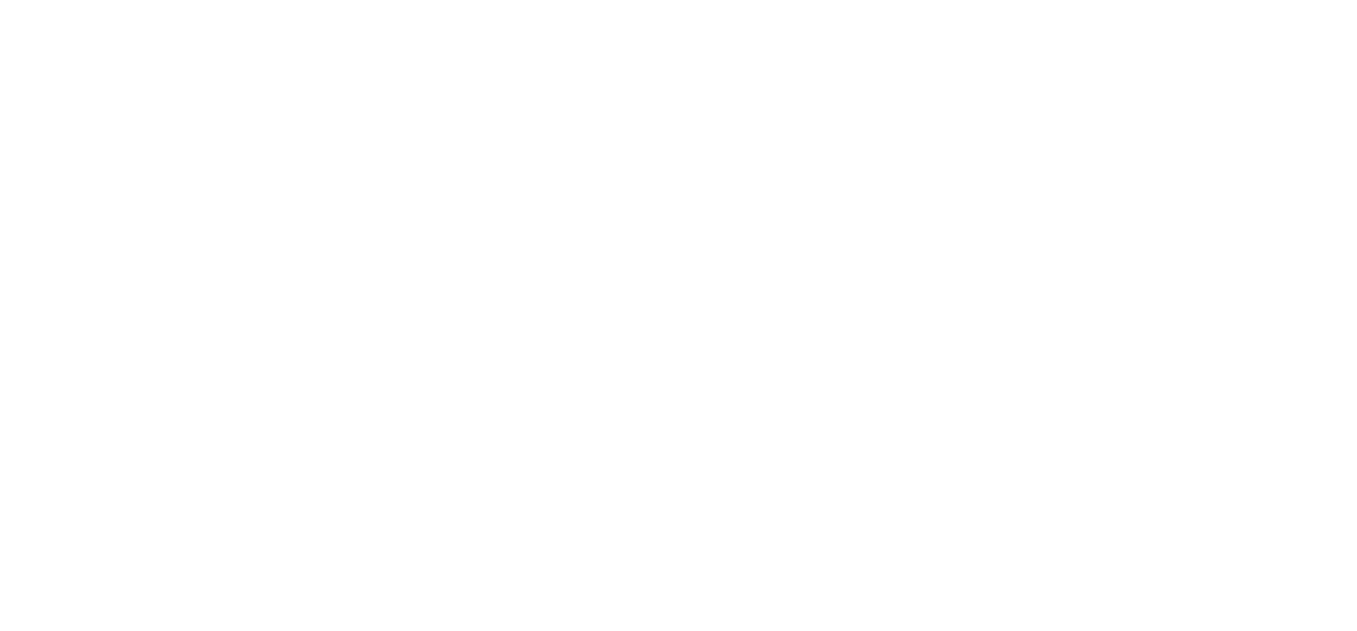 Premio Nacional Consejero de Excelencia